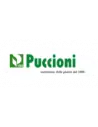 Puccioni